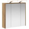 vidaXL Koupelnov&aacute; zrcadlov&aacute; skř&iacute;ň Uměleck&yacute; dub 63,5 x 16 x 62,5 cm