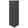 SteelBlack