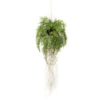 Emerald Umělá závěsná kapradina s kořeny 35 cm
