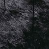 vidaXL Koberec Shaggy s vysok&yacute;m vlasem NAVARRA čern&yacute; 120x170 cm
