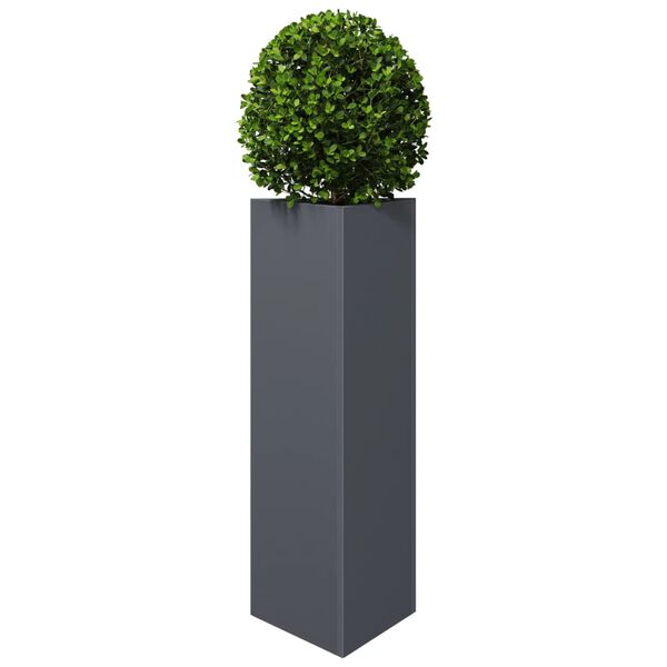 Zobrazen&iacute; obr&aacute;zku produktu 4 z 12