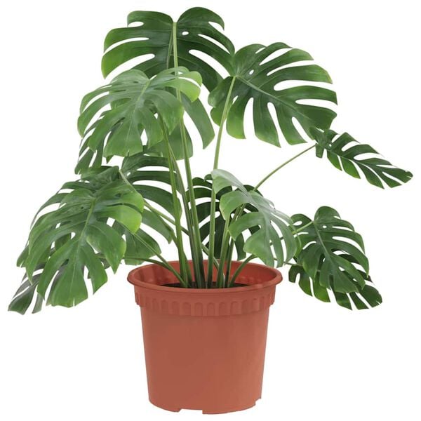 vidaXL Kulat&yacute; květin&aacute;č 6 pcs Cihlově červen&aacute; &Oslash; 12,5 x 10 cm Plast