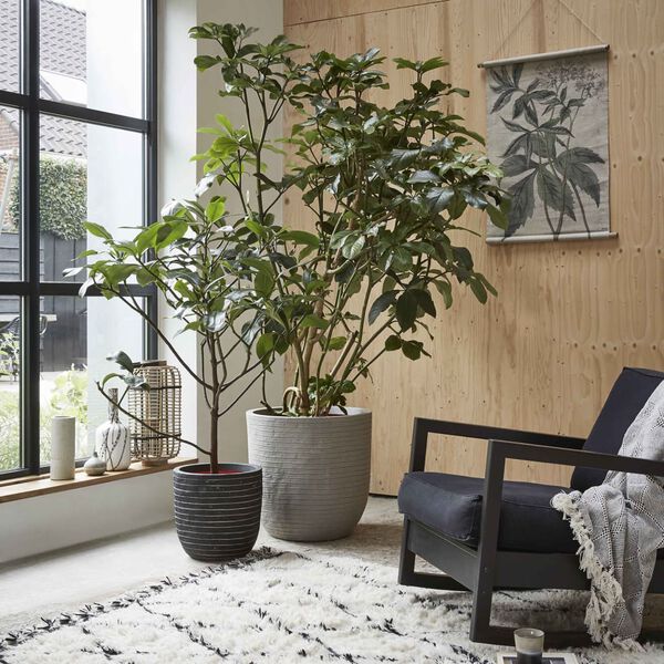 Capi Kulatý květináč Nature Row 54 x 52 cm antracitový KRWZ935