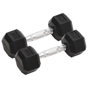 vidaXL Jednoručn&iacute; činky 2 ks 4 kg cel&aacute; litina