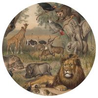 WallArt Kruhová tapeta Animals of Africa 142,5 cm