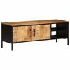 vidaXL TV skř&iacute;ňka 110 x 35 x 40 cm masivn&iacute; hrub&eacute; mangovn&iacute;kov&eacute; dřevo