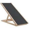 vidaXL Rampa pro psy &scaron;ed&aacute; 100 x 40 cm masivn&iacute; jedlov&eacute; dřevo
