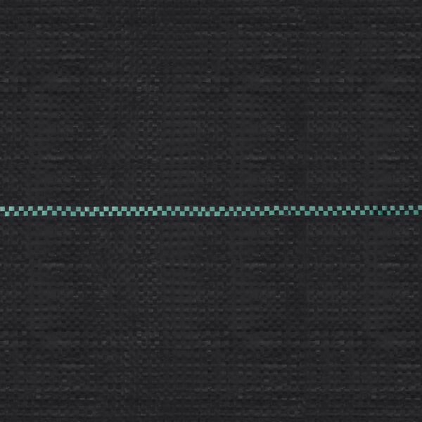 vidaXL Mulčovací textilie proti plevelu a kořenům černá 2 x 100 m PP