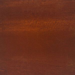 vidaXL Zahradn&iacute; vyv&yacute;&scaron;en&yacute; z&aacute;hon 100 x 100 x 18,5 cm cortenov&aacute; ocel