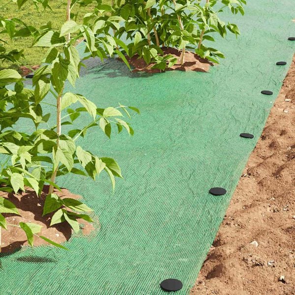 vidaXL Plastov&eacute; hřeb&iacute;ky 500 pcs Čern&aacute; &Oslash;3 x 11 cm Plast