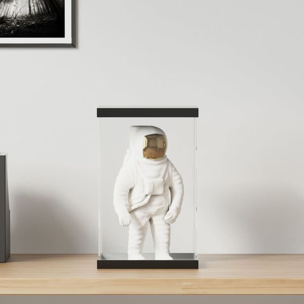 vidaXL Vitrína průhledná 22 x 18 x 35 cm akryl