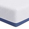 vidaXL Matrace Středně tvrd&yacute; 70 x 200 cm B&iacute;l&aacute; a modr&aacute;