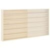 vidaXL N&aacute;stěnn&yacute; vitr&iacute;nov&yacute; box B&eacute;žov&aacute; 100 x 8,5 x 54 cm Překližka