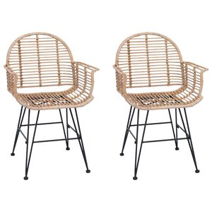 vidaXL J&iacute;deln&iacute; židle 2 pcs Ratan a železo Př&iacute;rodn&iacute; 57 x 55 x 85 cm