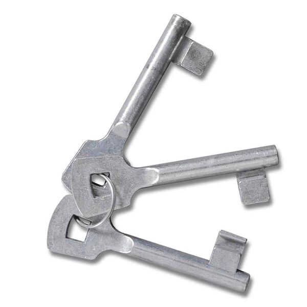 vidaXL Zahradní pletivo branka plot dveře stěna mříž 300 x 175 cm