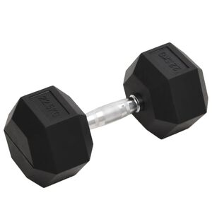 vidaXL Jednoručn&iacute; činka 22,5 kg litina