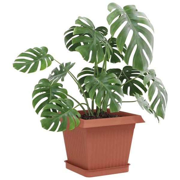 Zobrazen&iacute; obr&aacute;zku produktu 3 z 10