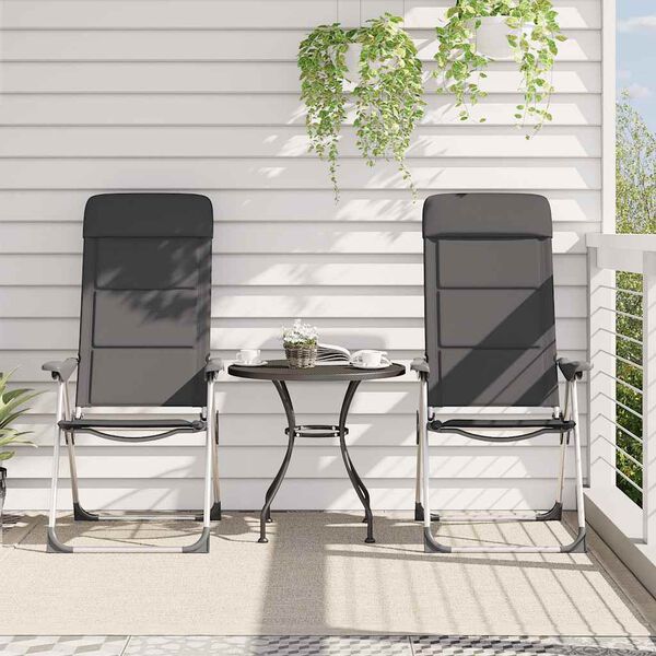 vidaXL Kempingov&eacute; židle z hlin&iacute;ku 2 ks 58 x 69 x 111 cm &scaron;ed&eacute;