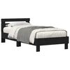 Black_oak