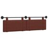 Shiny_brown