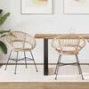 vidaXL Jídelní židle 2 pcs Přírodní 65 x 55,5 x 81 cm Ratan a železo