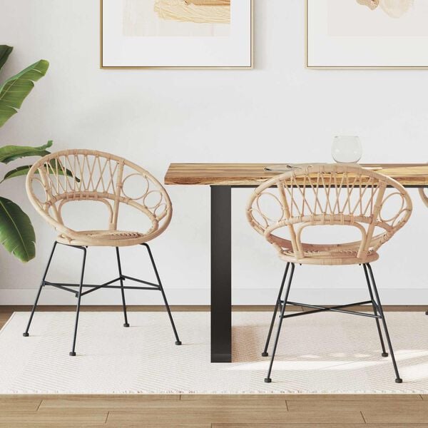 vidaXL Jídelní židle 2 pcs Přírodní 65 x 55,5 x 81 cm Ratan a železo