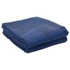 vidaXL Koberce do stanu Modr&aacute; 500 &times; 350 cm Polyester
