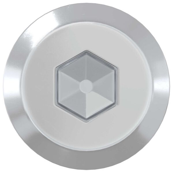 vidaXL N&aacute;bytkov&eacute; &scaron;rouby 2 pcs Stř&iacute;brn&aacute; M6 x 100 mm Ocel