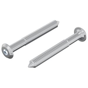 vidaXL &Scaron;roub 2 ks Stř&iacute;brn&aacute; M6 x 50 mm Ocel