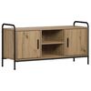 vidaXL Televizn&iacute; skř&iacute;ň 99 x 33 x 50 cm Dub artisan Kompozitn&iacute; dřevo