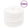 vidaXL Lodn&iacute; lano celob&iacute;l&eacute; 14 mm 250 m polypropylen