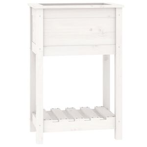 vidaXL Truhl&iacute;k s polic&iacute; b&iacute;l&yacute; 54 x 34,5 x 81 cm masivn&iacute; borov&eacute; dřevo