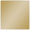 vidaXL De&scaron;ťov&aacute; sprchov&aacute; hlavice nerezov&aacute; ocel 50x50 cm čtvercov&aacute; zlat&aacute;