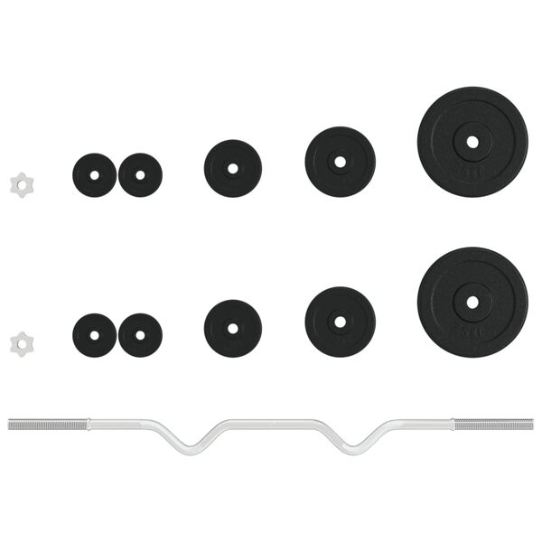 vidaXL Obouručn&iacute; činka se z&aacute;važ&iacute;m 30 kg litina a chromovan&aacute; ocel