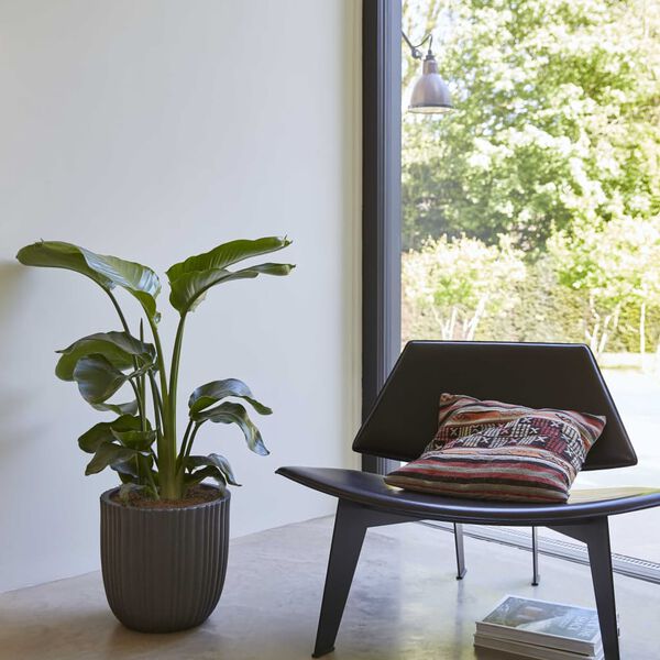 Capi Kulat&yacute; květin&aacute;č Urban Tube 35 x 34 cm čern&yacute; KBLT932