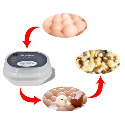 Automatická líheň pro 9 slepičích vajec