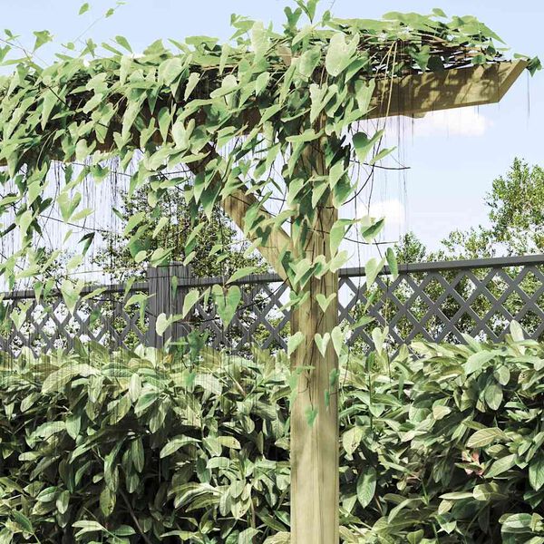 Zobrazen&iacute; obr&aacute;zku produktu 4 z 11