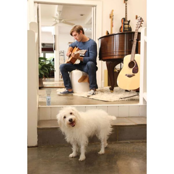 PetSafe Z&aacute;kazov&yacute; sprej pro psy a kočky Ssscat 1 m 6059A