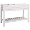 vidaXL Zahradn&iacute; vyv&yacute;&scaron;en&yacute; z&aacute;hon b&iacute;l&yacute; 110 x 45 x 79 cm polypropylen