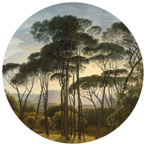 WallArt Kruhov&aacute; tapeta Umbrella Pines in Italy 142,5 cm