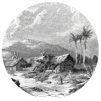 WallArt Kruhová tapeta Landscape of Guadeloupe 142,5 cm