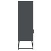 vidaXL Skříň highboard antracitová 68x39x123 cm ocel