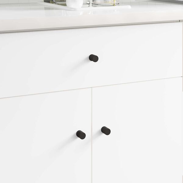 vidaXL &Uacute;chytky na skř&iacute;ň 2 pcs Čern&aacute; M4 x 12 mm Železo