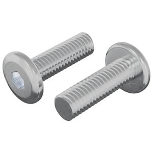 vidaXL &Scaron;roub 2 ks Stř&iacute;brn&aacute; 8 x 25 mm Ocel
