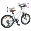 vidaXL Kids Mountain Bike 20 palců 6-Speed pro 5-8 let B&iacute;l&aacute;
