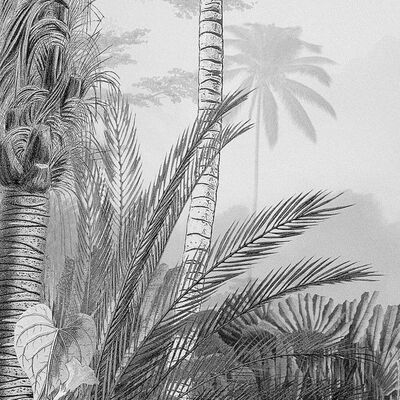 Komar Fototapeta Lac Tropical Black & White 200 x 270 cm
