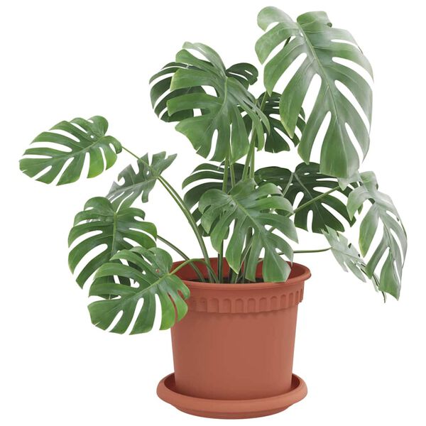 vidaXL Kruhov&yacute; květinov&yacute; t&aacute;cek 6 pcs Cihlově červen&aacute; &Oslash; 14 x 2 cm Plast