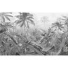 Komar Fototapeta Amazonia černob&iacute;l&aacute; 400 x 250 cm