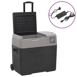 vidaXL Chladic&iacute; box s kolečky a adapt&eacute;rem čern&yacute; a &scaron;ed&yacute; 30 l PP