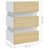 vidaXL Noční stolek s LED bílý a dub sonoma 45 x 35 x 67 cm kompozit